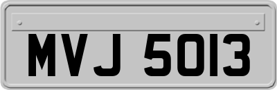 MVJ5013