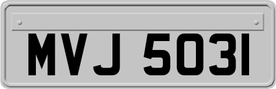 MVJ5031