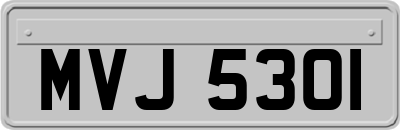 MVJ5301