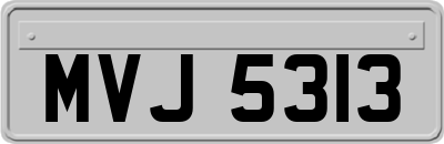 MVJ5313