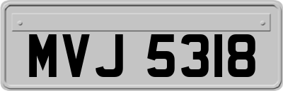 MVJ5318