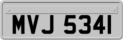 MVJ5341