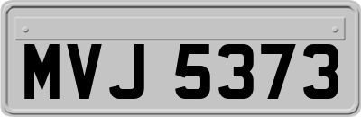 MVJ5373