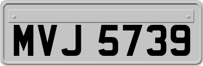 MVJ5739