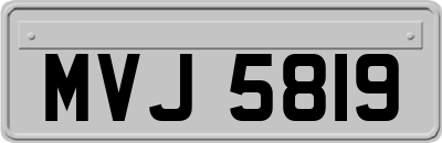 MVJ5819