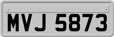 MVJ5873