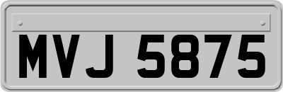 MVJ5875
