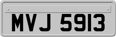 MVJ5913