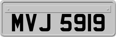 MVJ5919