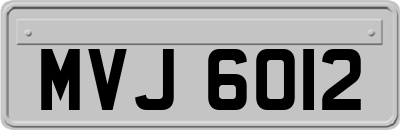 MVJ6012