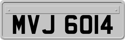 MVJ6014