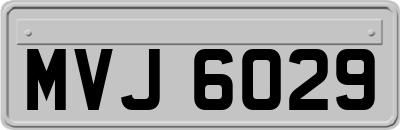 MVJ6029
