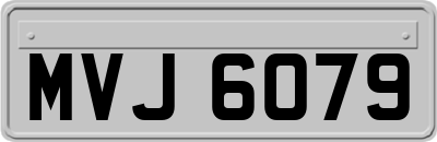 MVJ6079