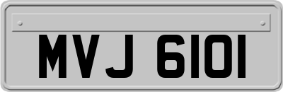 MVJ6101