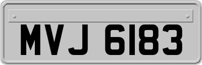 MVJ6183