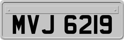 MVJ6219