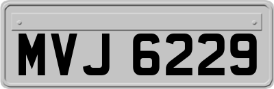MVJ6229