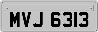 MVJ6313