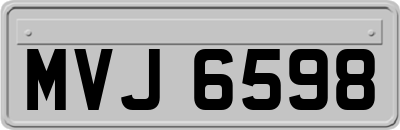 MVJ6598