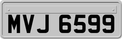 MVJ6599
