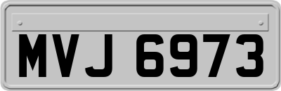 MVJ6973