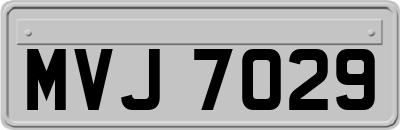 MVJ7029