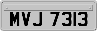 MVJ7313