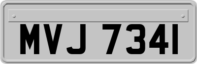 MVJ7341