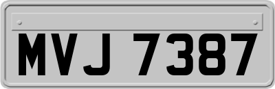 MVJ7387