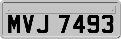 MVJ7493