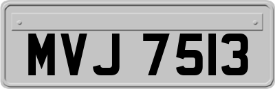 MVJ7513