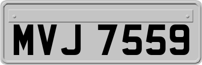 MVJ7559
