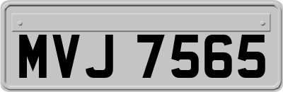 MVJ7565
