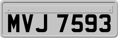 MVJ7593