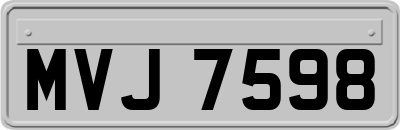 MVJ7598