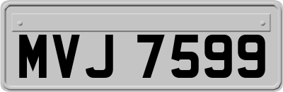 MVJ7599