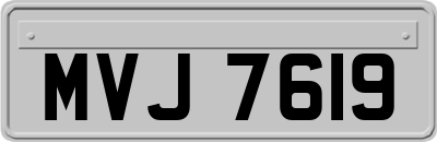MVJ7619