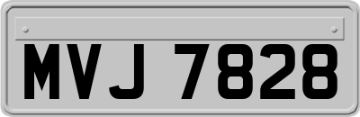 MVJ7828