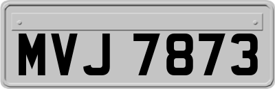 MVJ7873