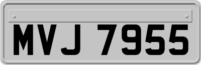 MVJ7955
