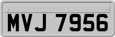 MVJ7956