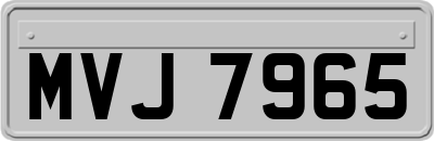 MVJ7965