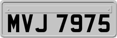 MVJ7975