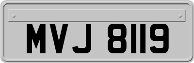 MVJ8119
