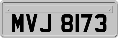 MVJ8173