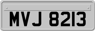 MVJ8213