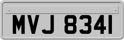 MVJ8341