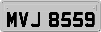 MVJ8559