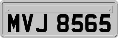 MVJ8565
