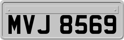 MVJ8569